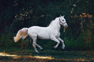 Prayers Against Satanic Horsemen Attacking Families